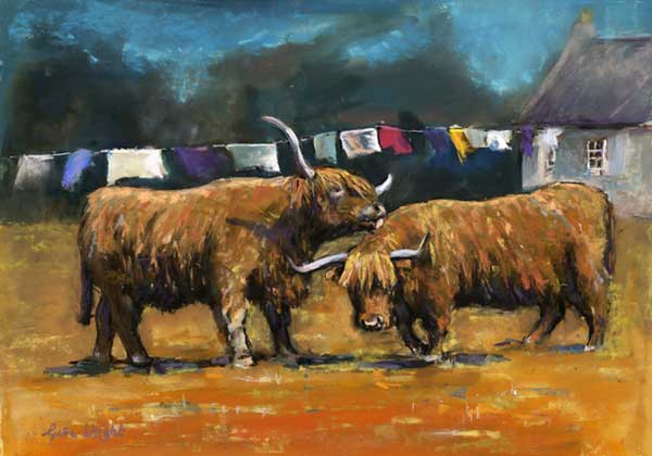 Cow's Lick