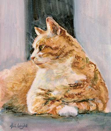 Ginger Tom