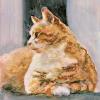 Ginger Tom
