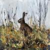 Hilltop Hare